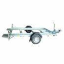 Soporte para coche Cachorro de león 261 0751SF