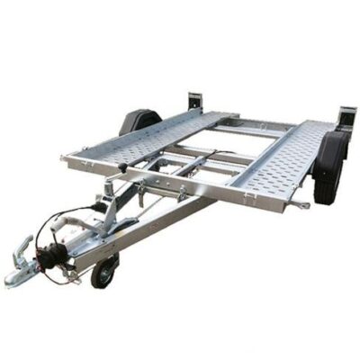 Soporte para coche Cachorro de león 261 1301