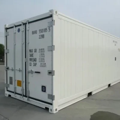 Nuevo contenedor refrigerado refrigerado de 20 pies